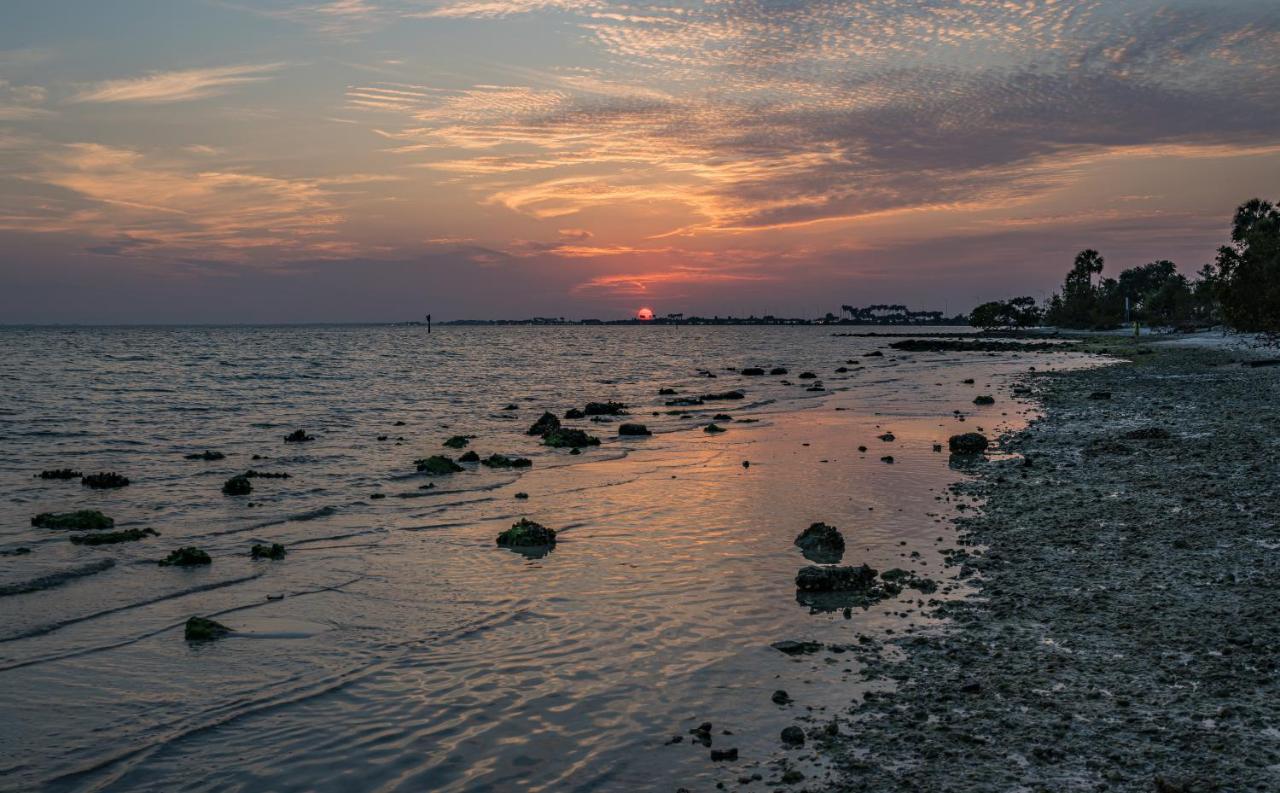 Bay Views From Your Balcony Beach Resort Tampa Ngoại thất bức ảnh